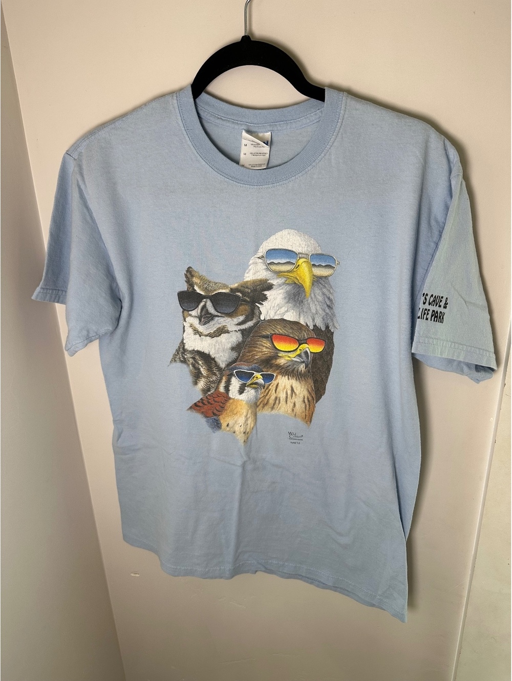 Modern Wild Cotton Cool Raptors Graphic Tee Light Blue Size M